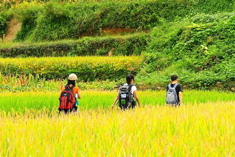 旅游线下观：旅游综合体，令人陶醉
