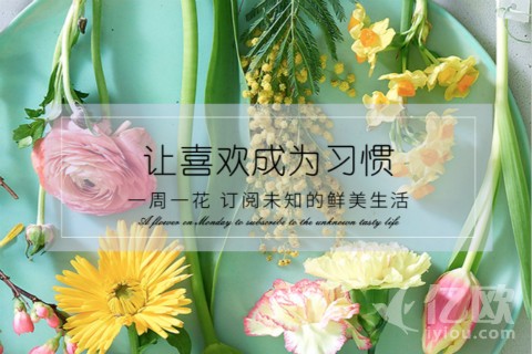 订阅式鲜花：接力的绽放，不间断的美好