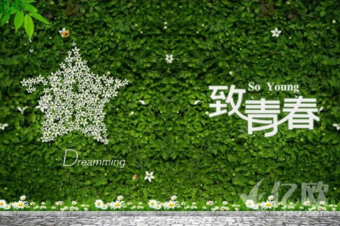 三步渗透全产业链，电影票务平台的成长与竞争